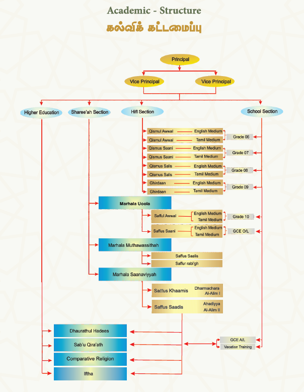 Academic Structure Chart